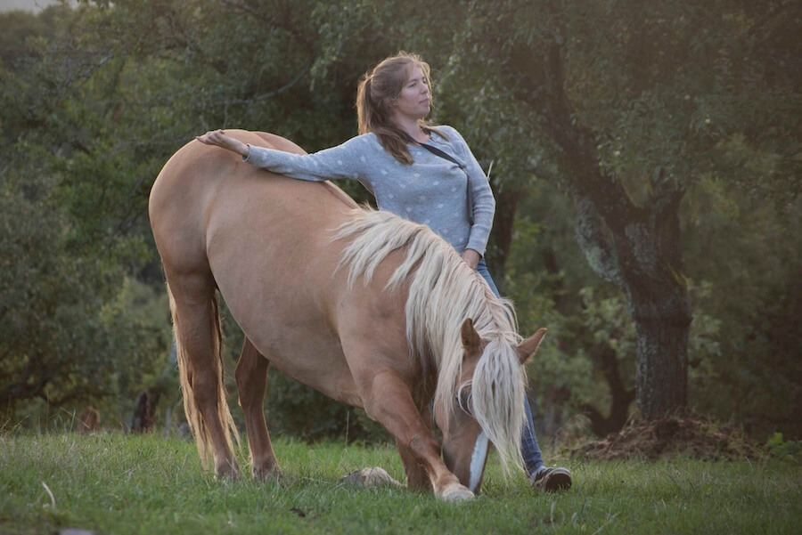 Kinder begegnen Ponys auf dem Hof